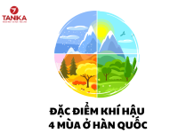 ĐẶC ĐIỂM KHÍ HẬU 4 MÙA Ở HÀN QUỐC