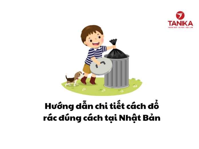 ảnh content web