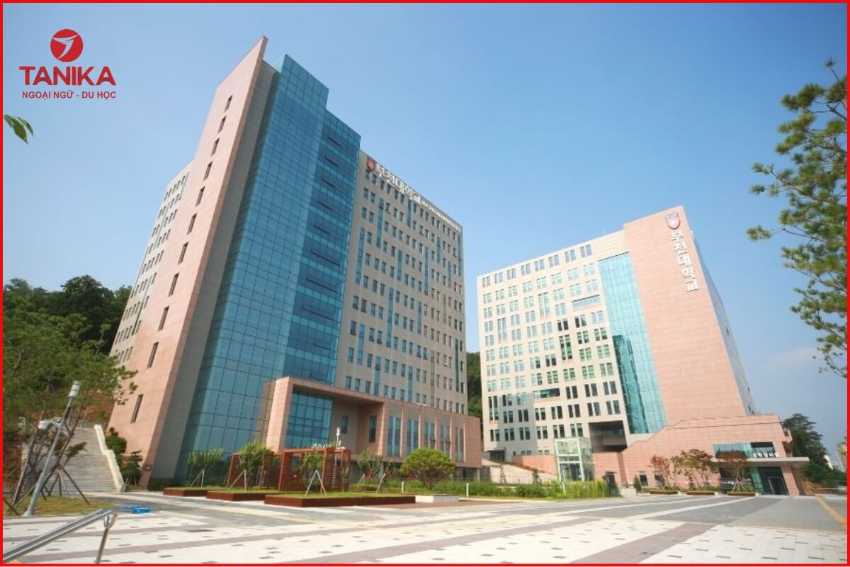 Chương trình đào tạo hệ tiếng Hàn của Bucheon University