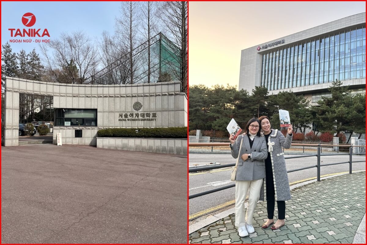 Chương trình đào tạo hệ tiếng Hàn của Seoul Wonmen