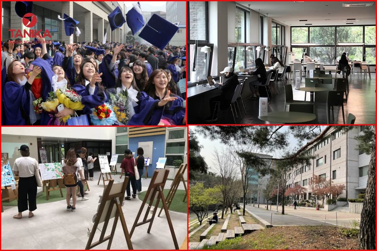 Chương trình đào tạo hệ Đại học của Đại học Nữ Seoul