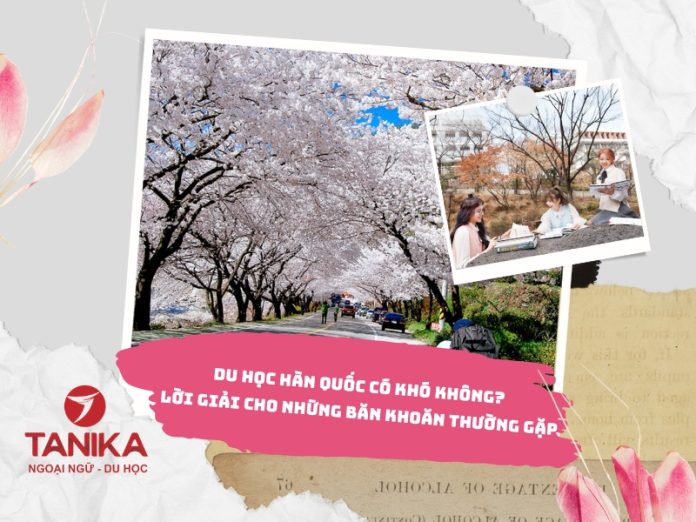 anh bia content web - tanika (5)