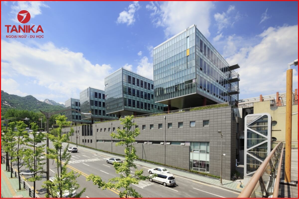 Các tiêu chí chọn trường du học Hàn Quốc dành cho người mới