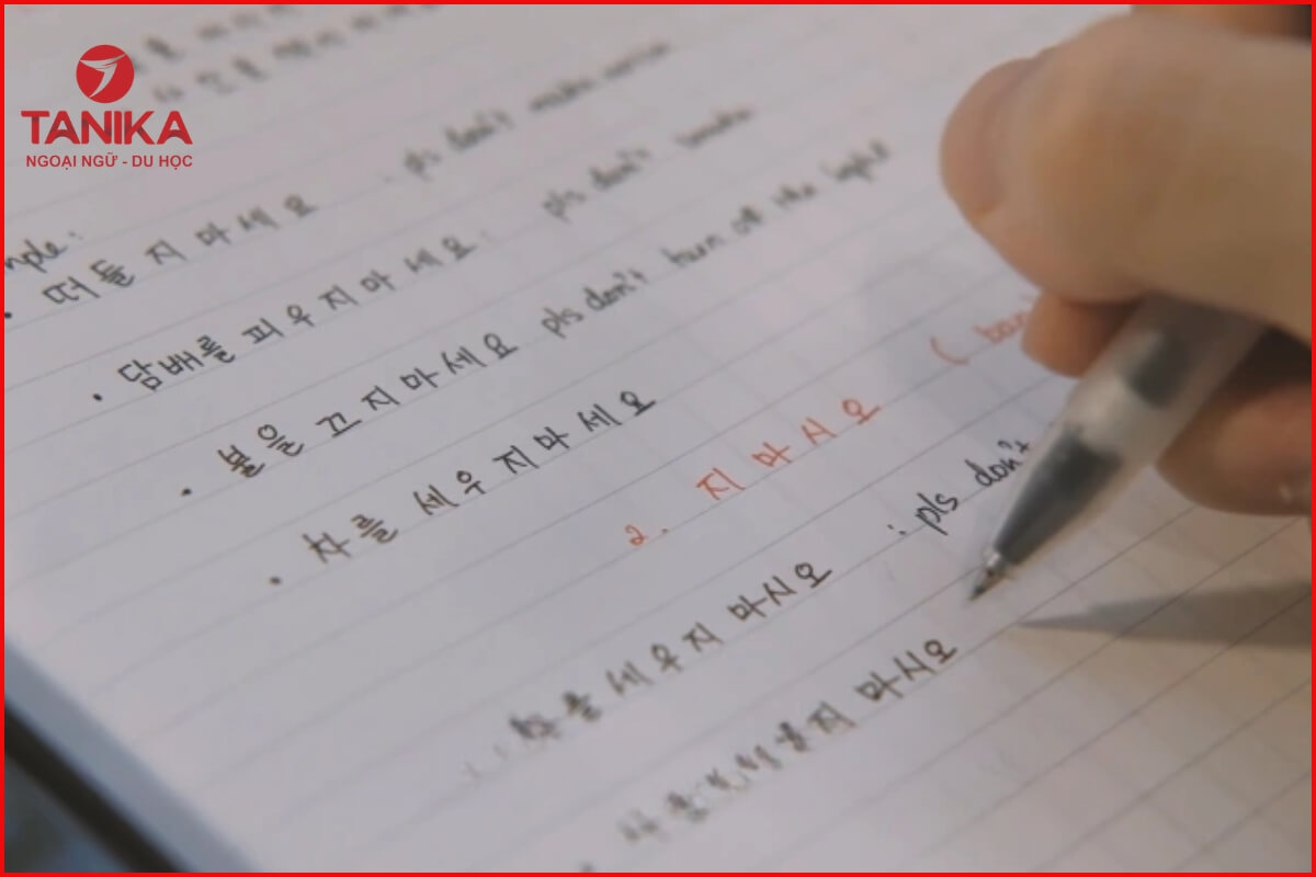 Ai phù hợp với khóa học tiếng Hàn sơ cấp đến trung cấp tại Tanika