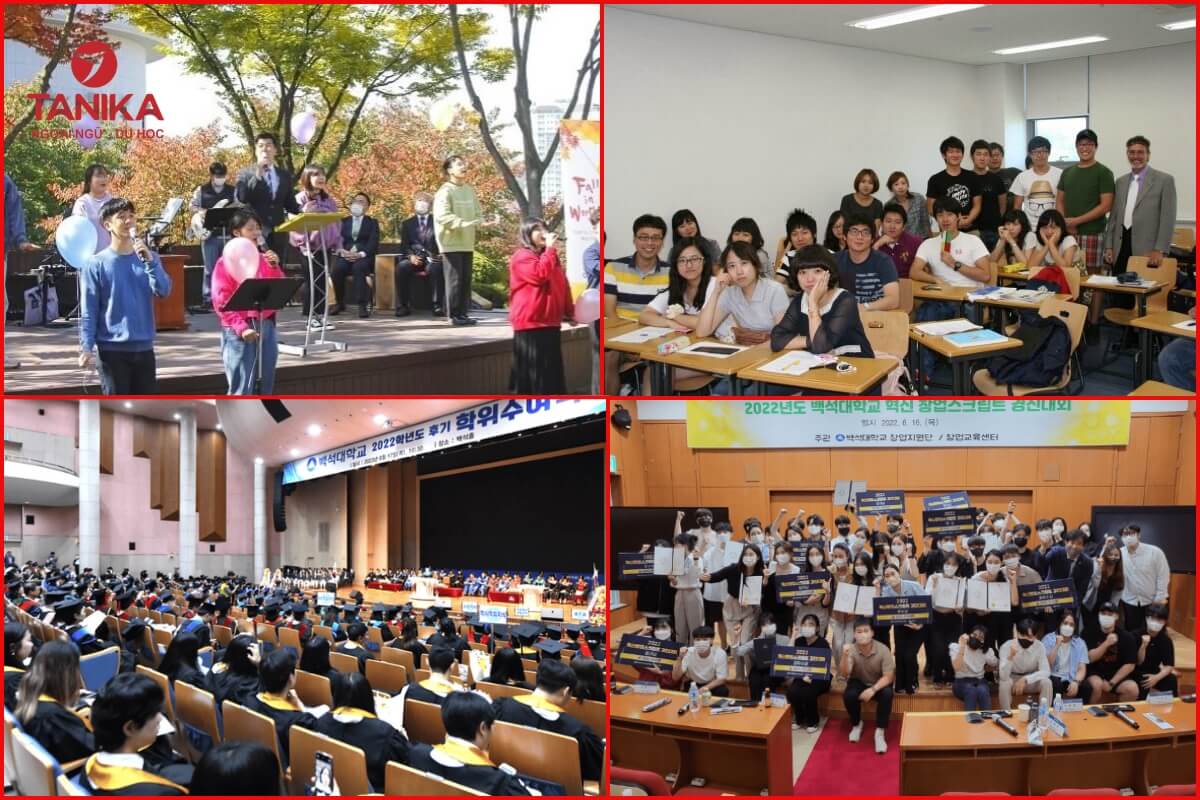 Chương trình Đại học tại Đại học BAEKSEOK Hàn Quốc 