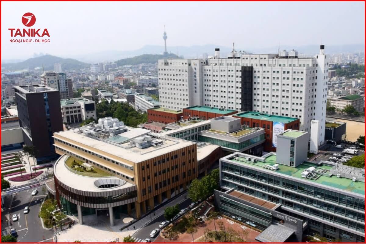 Chương trình đào tạo hệ tiếng Hàn của Yeungnam