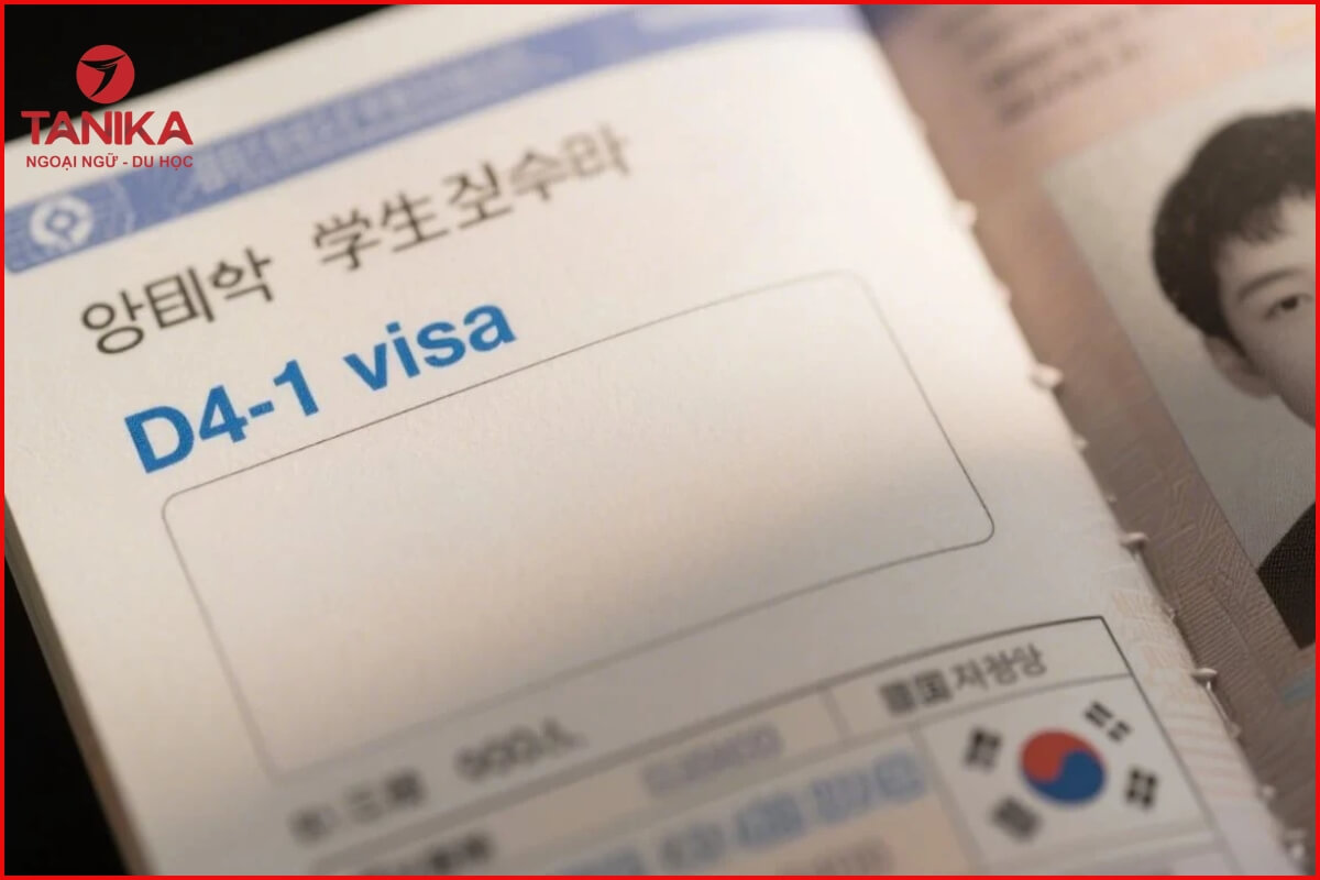 Du học Hàn Quốc hệ tiếng D4-1 là gì?
