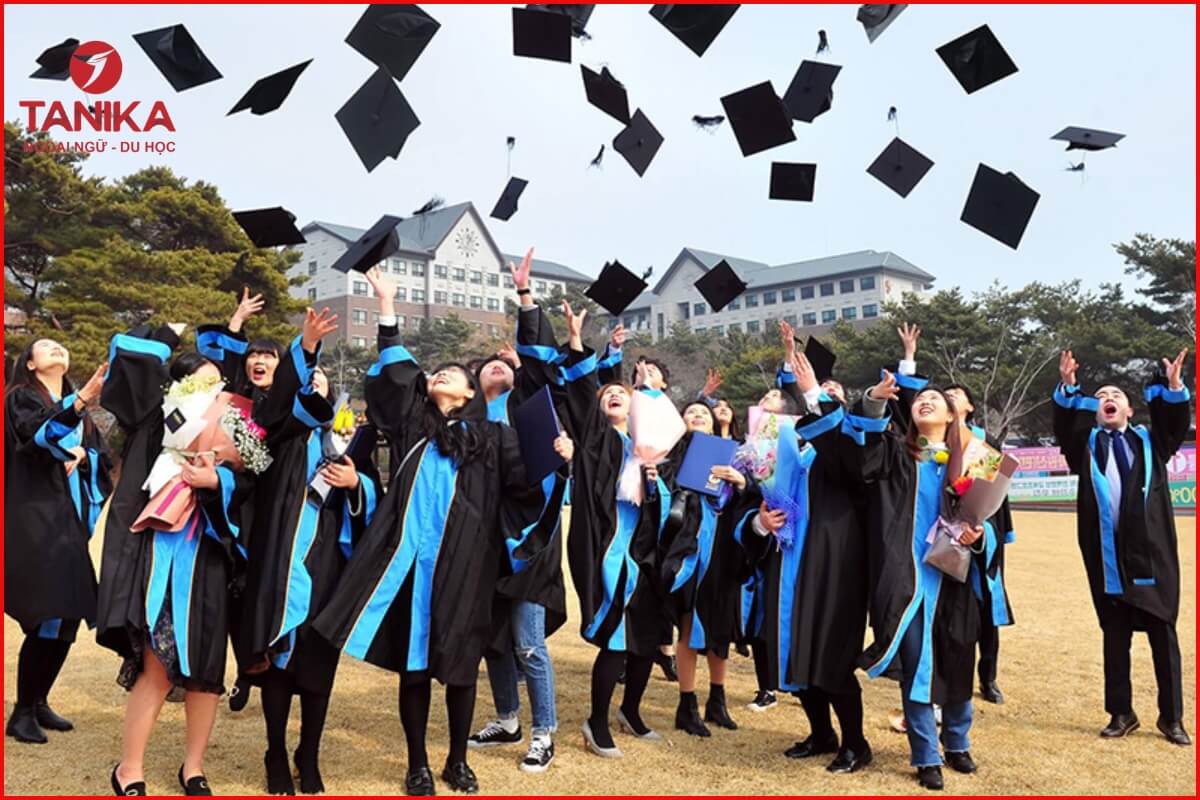 Lộ trình tiếp theo sau khi hoàn thành hệ D4-1