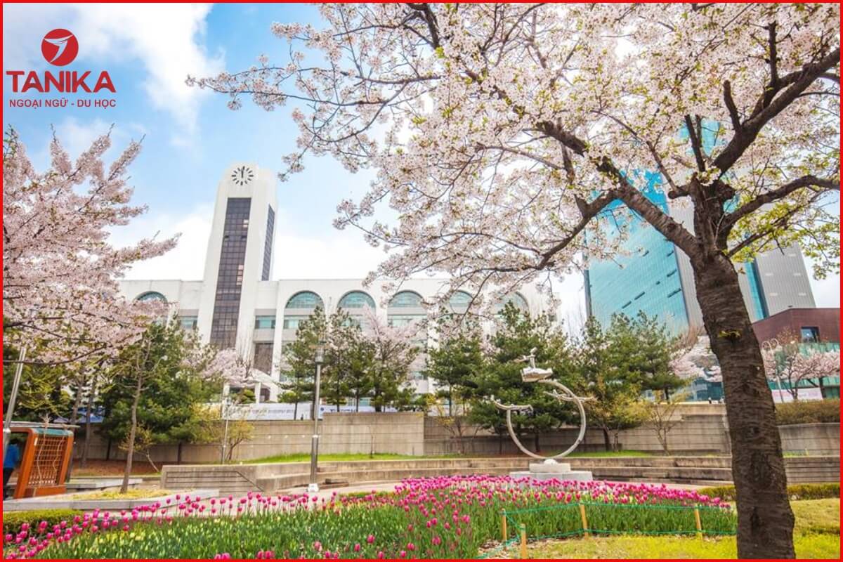 So sánh chi tiết học phí giữa trường công và tư