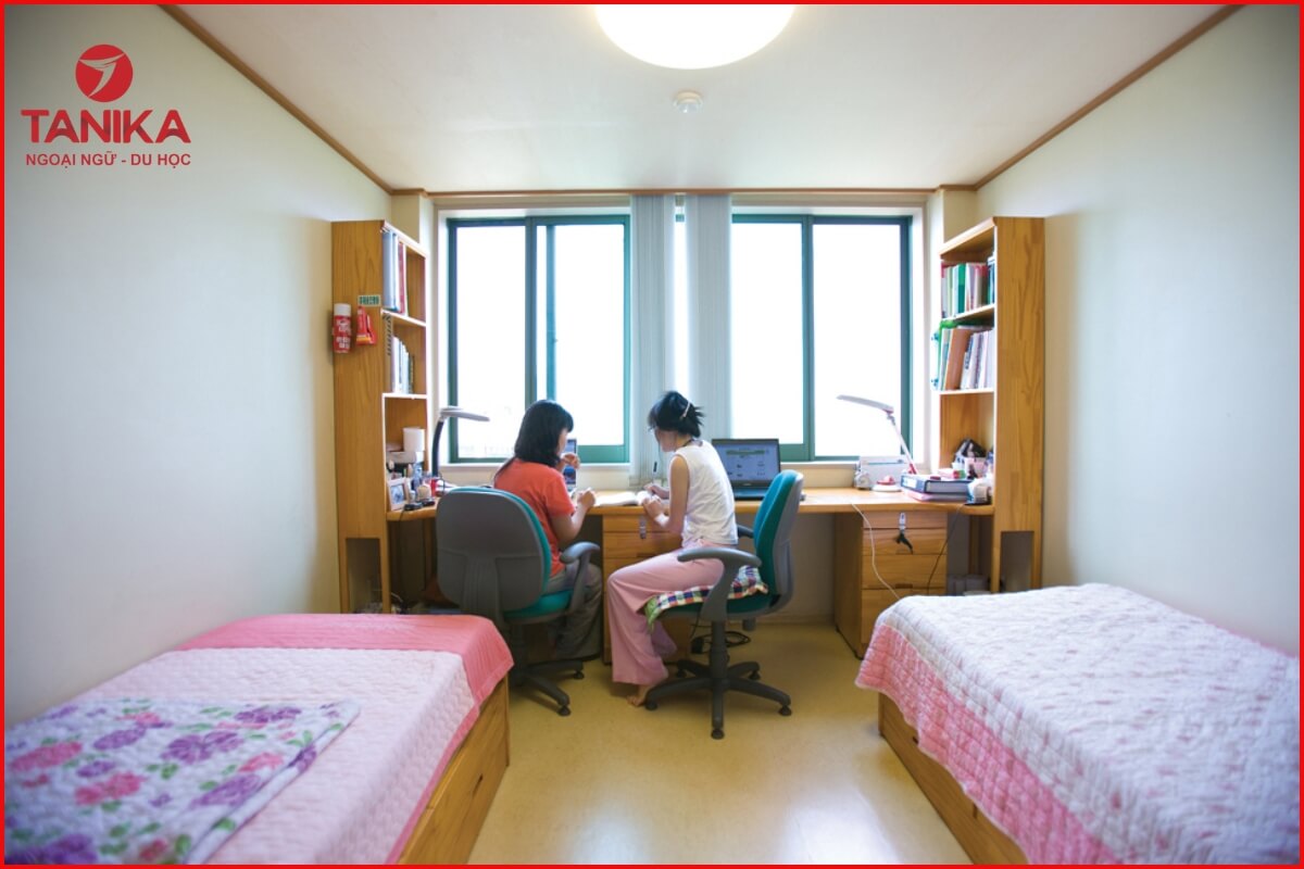 Có nên ở ký túc xá khi mới sang Hàn Quốc?