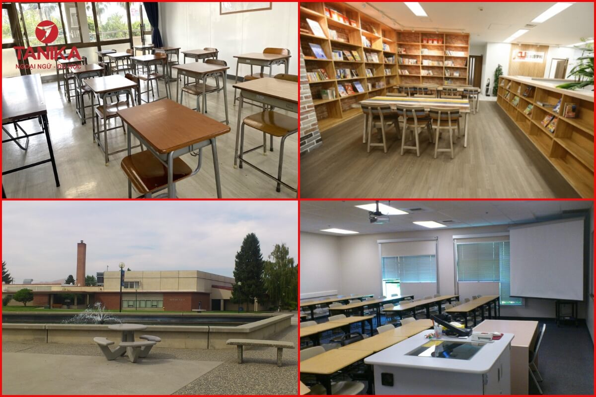 Đặc điểm nổi bật của trường Nhật ngữ Life Jr College