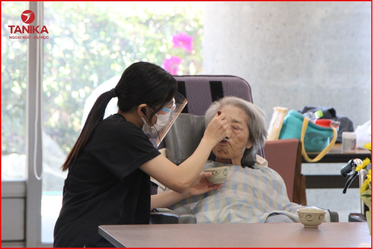 Điều dưỡng Nhật Bản là làm gì? Nhiệm vụ điều dưỡng viên Nhật Bản