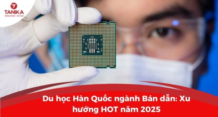 du-hoc-han-quoc-nganh-ban-dan