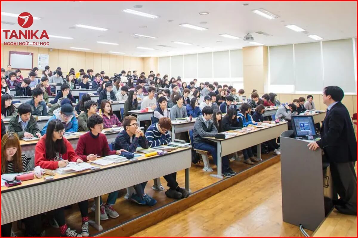 Điều kiện và yêu cầu du học ngành Quản trị Kinh doanh tại Hàn Quốc