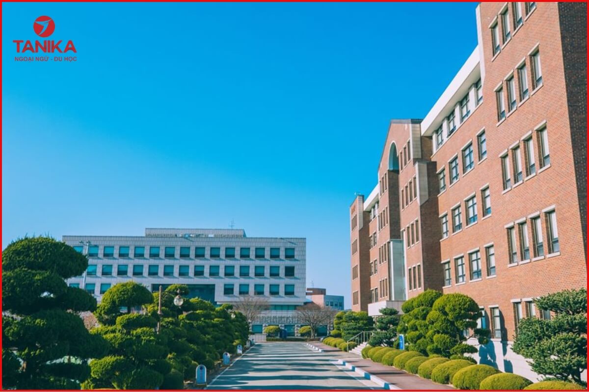 Những khó khăn khi học tại trường top 3 Hàn Quốc