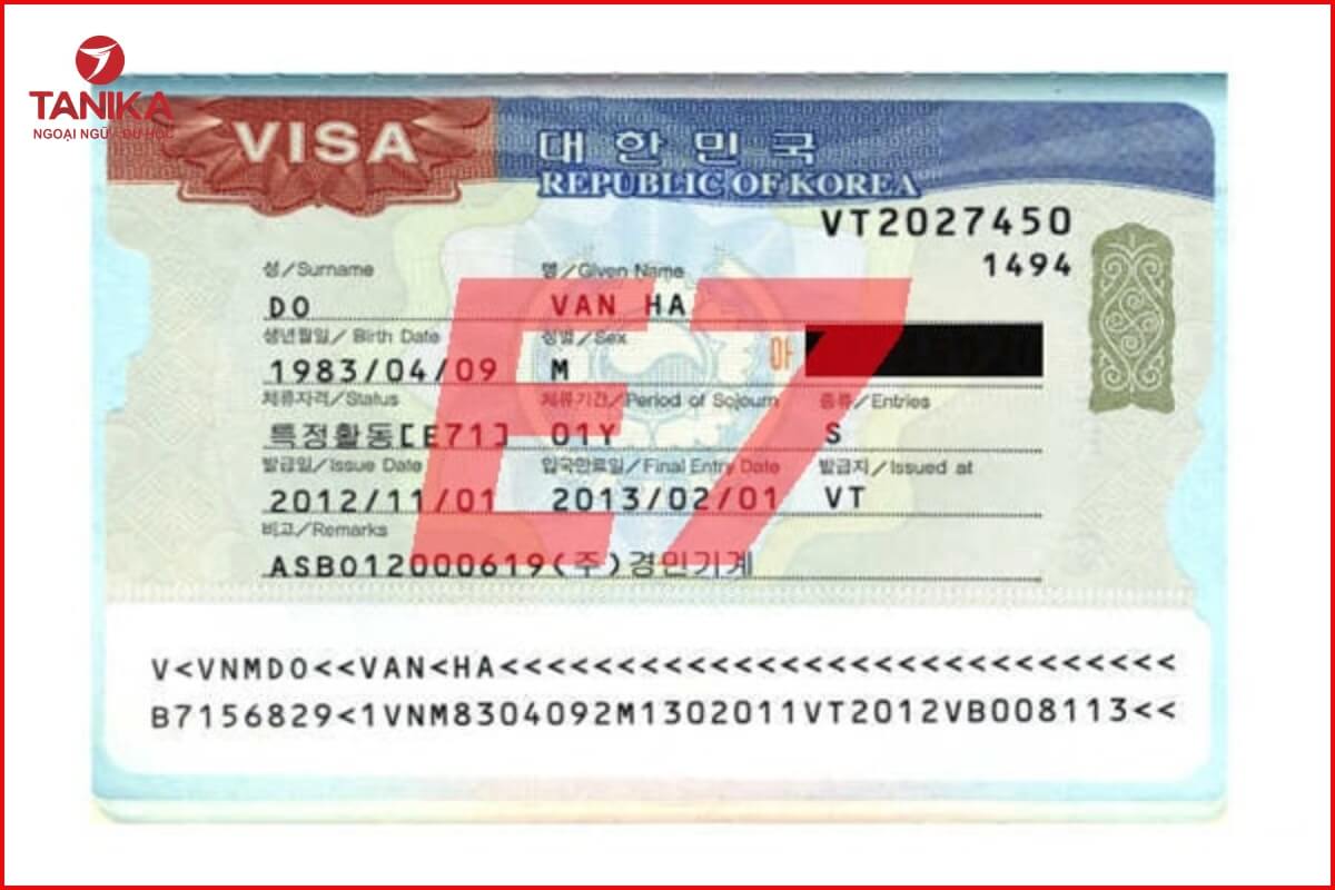 Visa E7 là gì? Vì sao được du học sinh Hàn Quốc quan tâm?