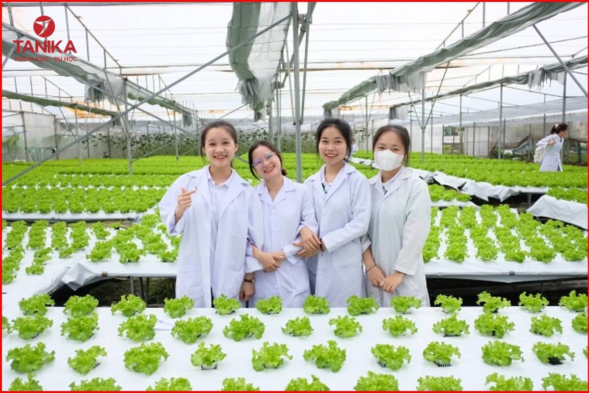 Ngành Nông nghiệp công nghệ cao