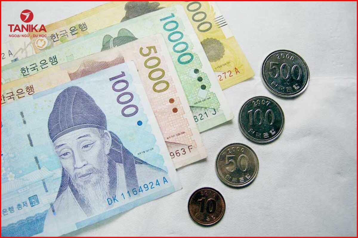 Mức lương và cơ hội nghề nghiệp khi sở hữu Visa E7