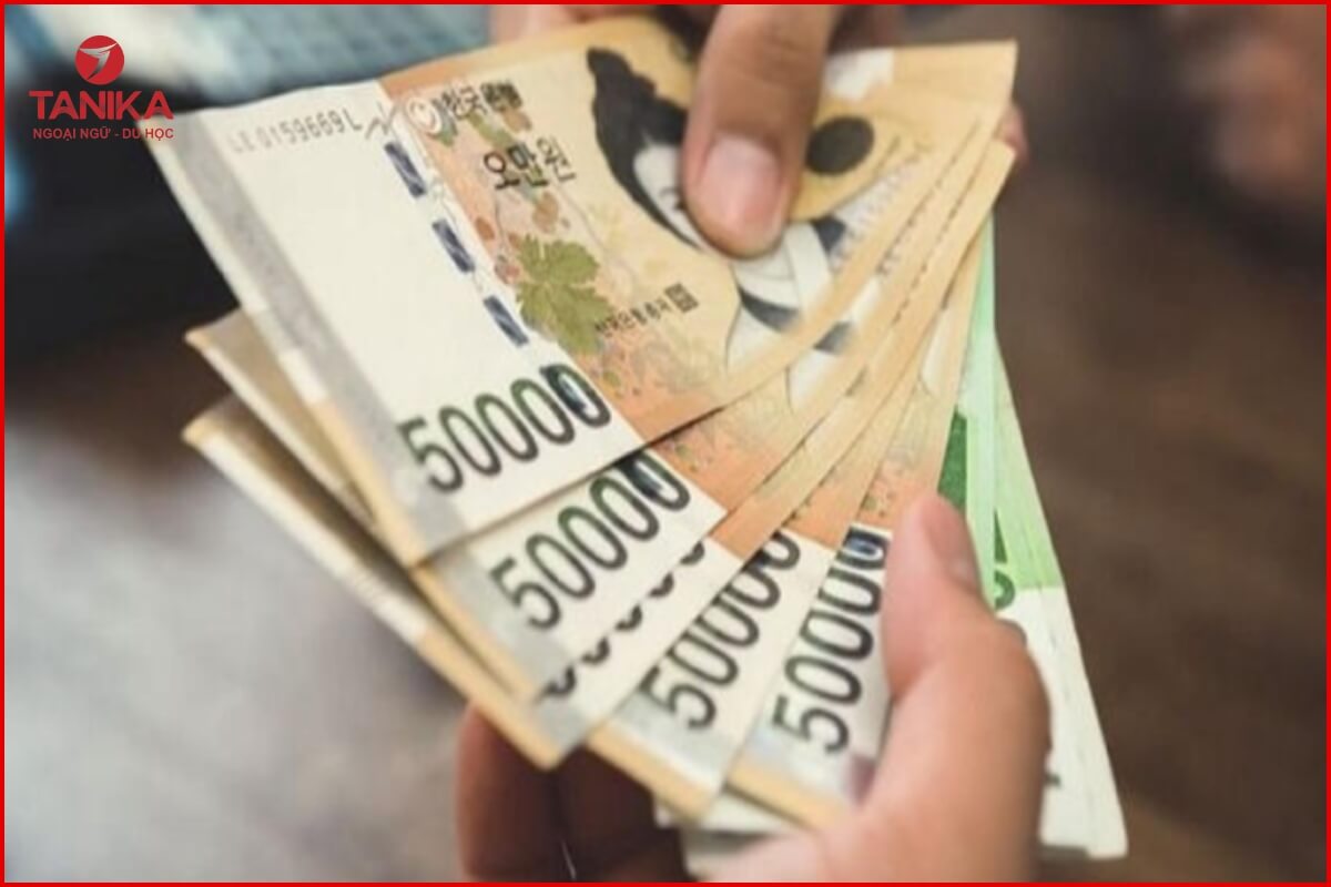 Làm thêm ở Hàn được bao nhiêu tiền cho du học sinh 