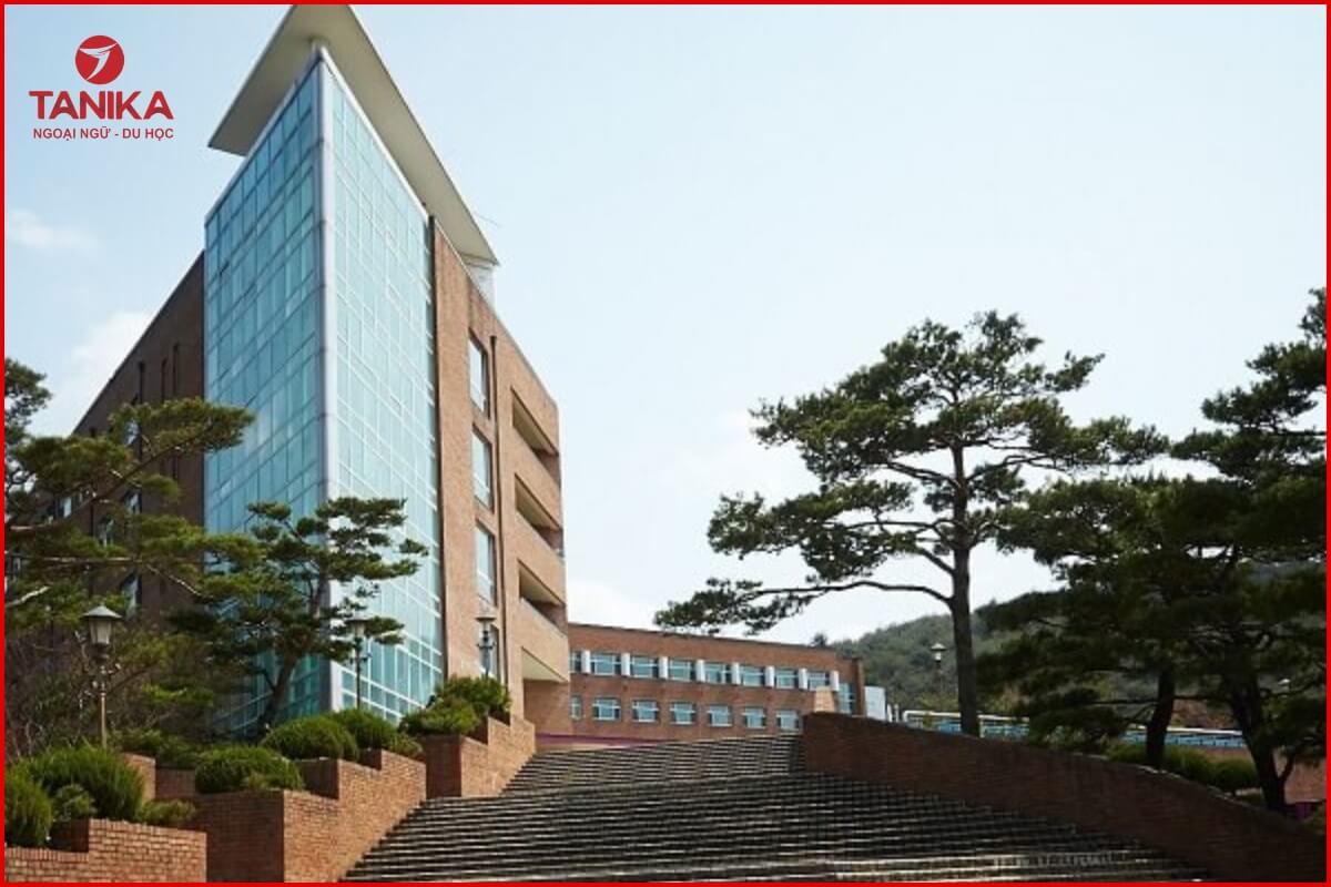 Tại sao du học sinh cần hiểu rõ các thuật ngữ