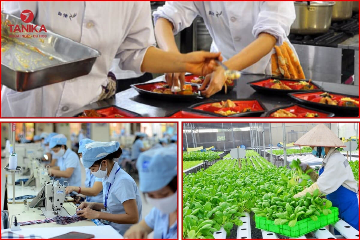 Ngành nghề và công việc phù hợp với lao động nữ