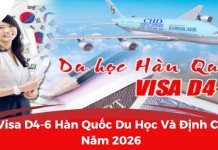 Visa D4-6 Hàn Quốc Du Học Và Định Cư Năm 2026