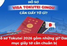 Hồ sơ Tokutei 2026 gồm những gì? Danh mục giấy tờ cần chuẩn bị