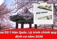 Visa D2-1 Hàn Quốc: Lộ trình chính quy và định cư năm 2026