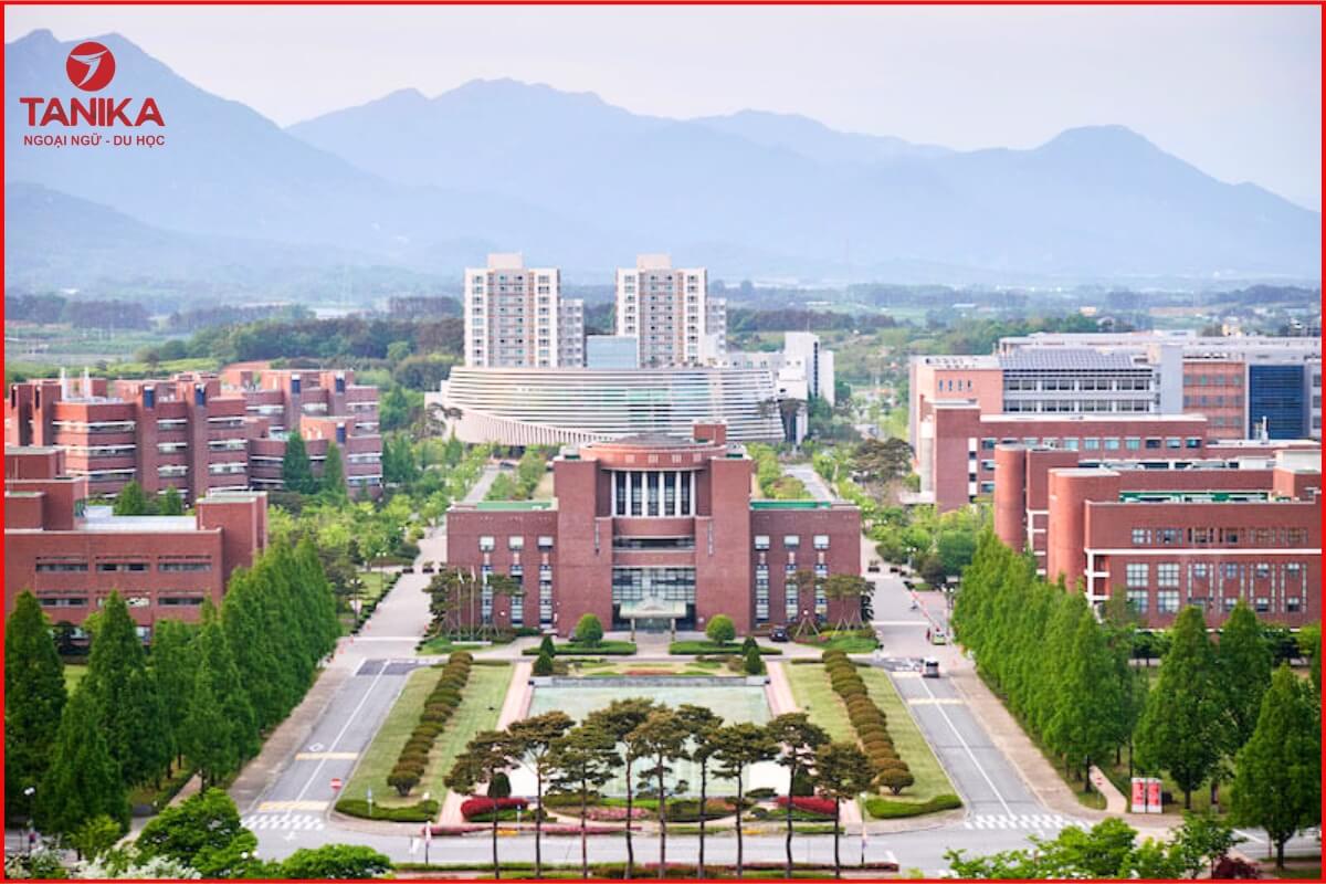 truong-dai-hoc-gwangju-gwangju