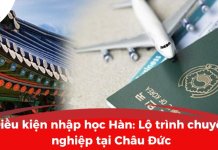 Điều kiện nhập học Hàn: Lộ trình chuyên nghiệp tại Châu Đức