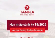 Hạn Nhập Cảnh Kỳ T9/2026 Hàn Quốc: Những Điều Du Học Sinh Cần Biết
