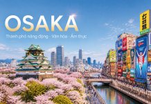 Osaka Nhật Bản – Thành phố năng động và điểm đến hấp dẫn cho du học sinh
