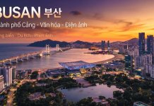 Busan Hàn Quốc – Thành phố biển năng động và điểm đến hấp dẫn cho du học sinh