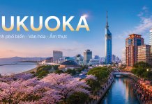 Fukuoka Nhật Bản – Thành phố đáng sống và điểm đến lý tưởng cho du học sinh