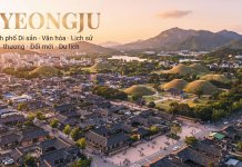 Gyeongju Hàn Quốc – Thành phố di sản và điểm đến du học