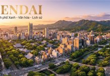 Sendai Nhật Bản – Thành phố xanh và điểm đến du học hấp dẫn