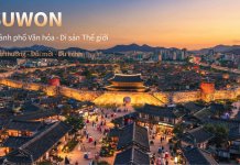 Suwon Hàn Quốc – Thành phố hiện đại và lựa chọn du học đáng tìm hiểu